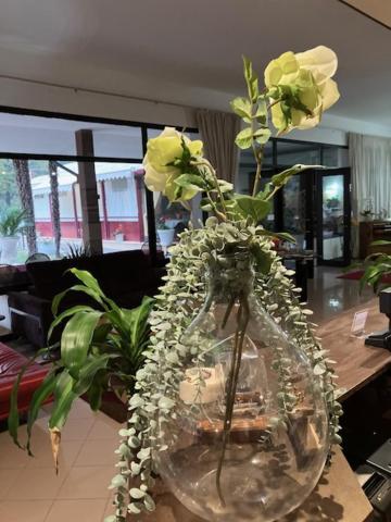 Hotel Rey'S มอนเตกรอตโต แตร์เม ภายนอก รูปภาพ